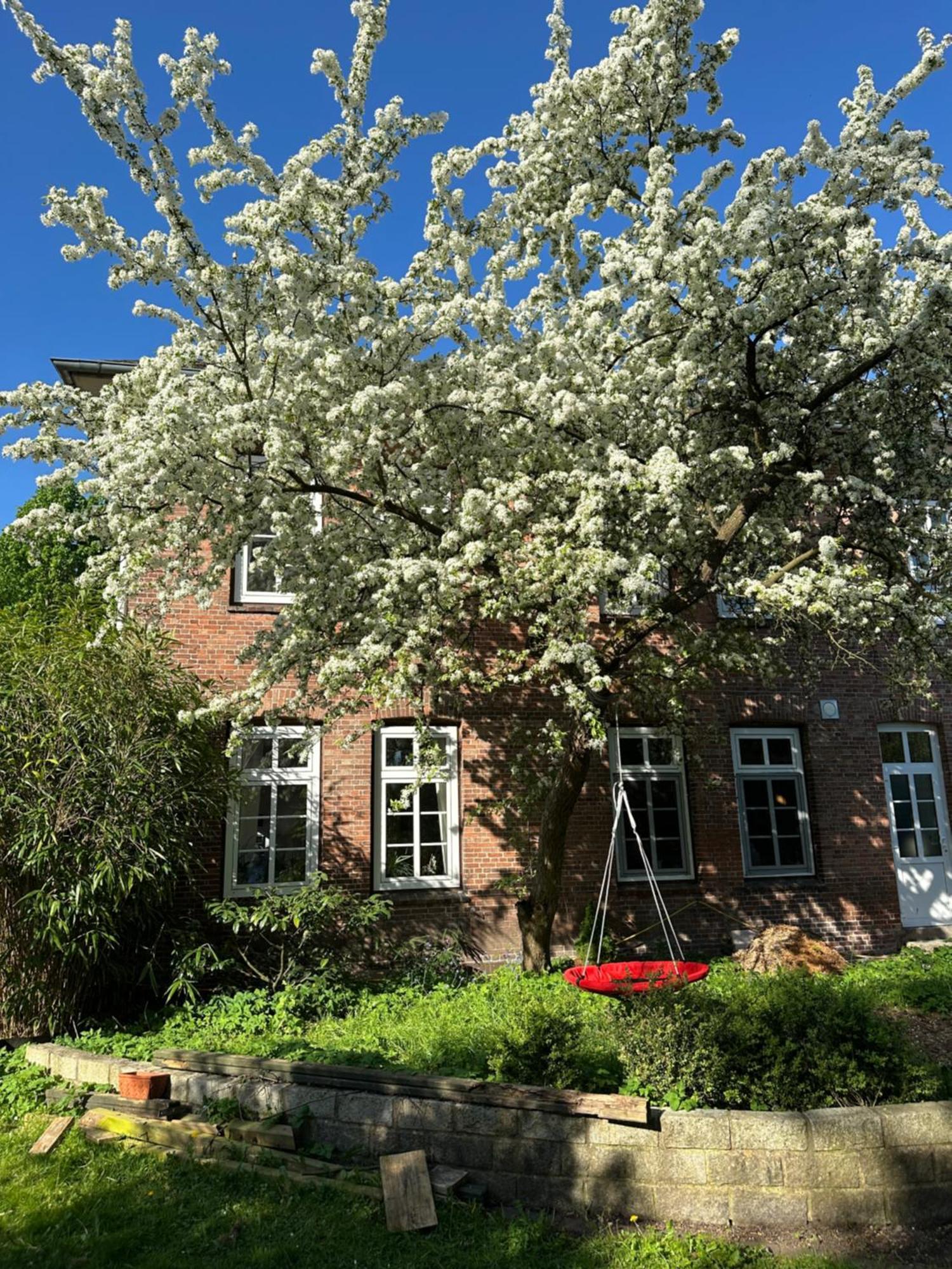 Bed and Breakfast Altes Pastorat Barmstedt Exterior foto