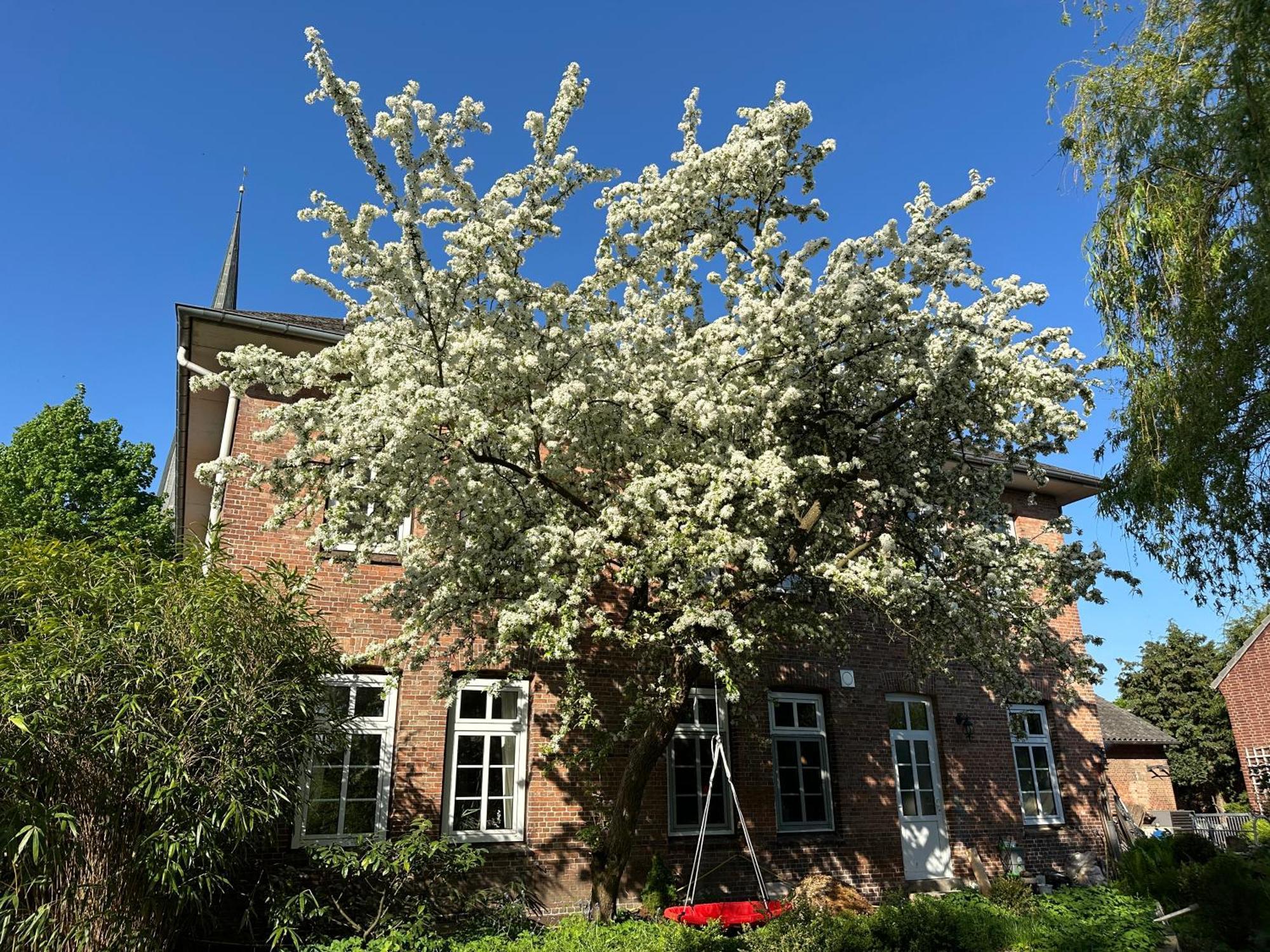 Bed and Breakfast Altes Pastorat Barmstedt Exterior foto