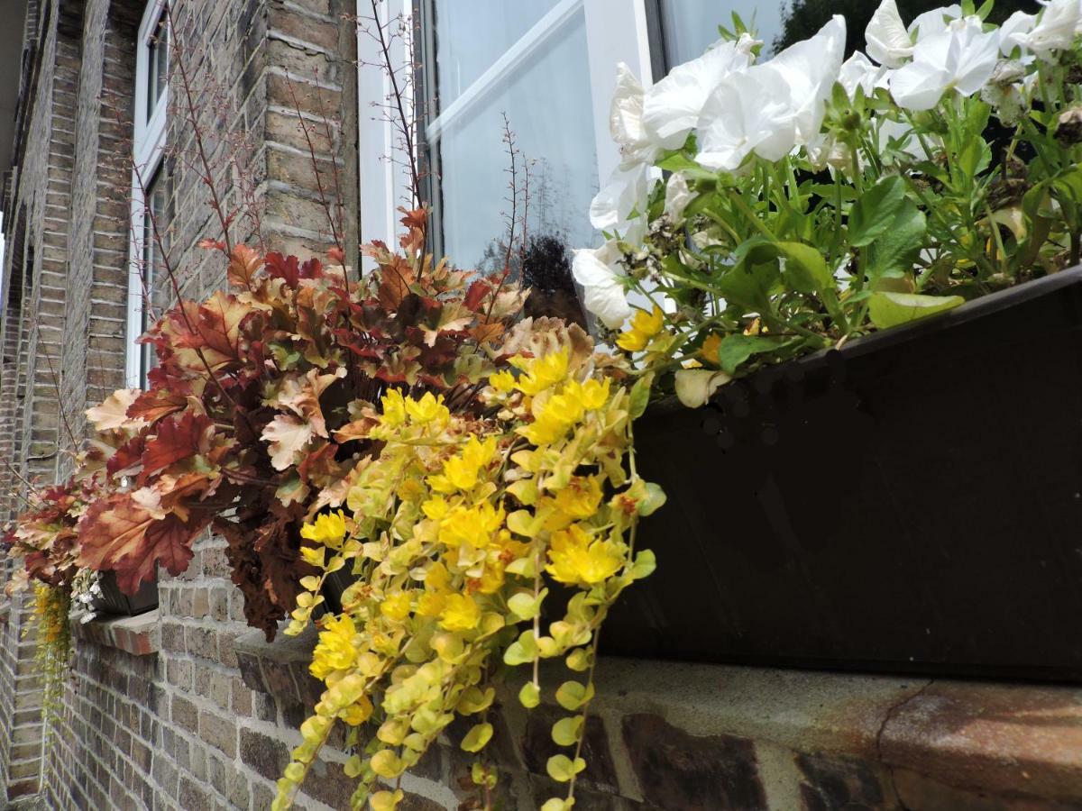 Bed and Breakfast Altes Pastorat Barmstedt Exterior foto